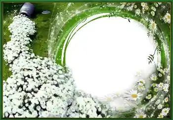 Efecto de fotos de la categoría Primavera № 4620