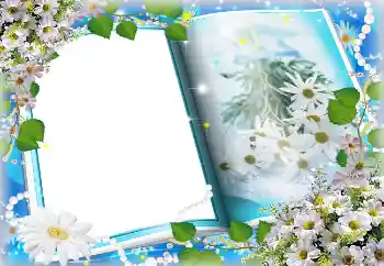 Efecto de fotos de la categoría Primavera № 4621