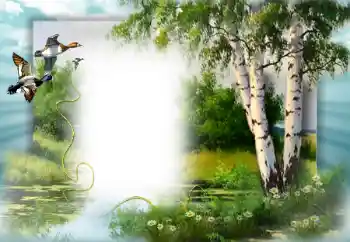 Efecto de fotos de la categoría Primavera № 49552