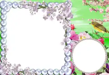 Efecto de fotos de la categoría Primavera № 5511