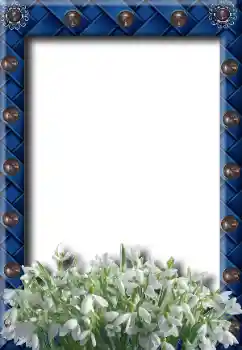 Efecto de fotos de la categoría Primavera № 8734