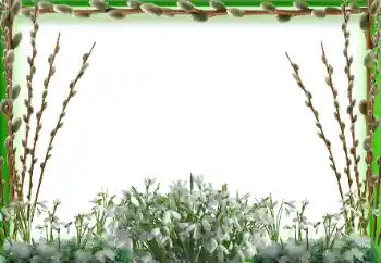 Efecto de fotos de la categoría Primavera № 94595