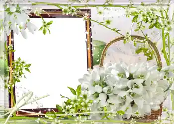 Efecto de fotos de la categoría Primavera № 980