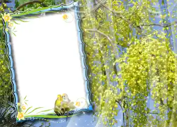 Efecto de fotos de la categoría Primavera № 981