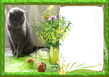 Efecto de fotos de la categoría Primavera № 982