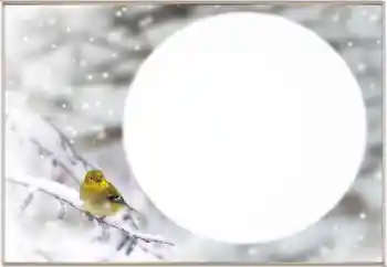 Efecto de fotos de la categoría Invierno № 163334