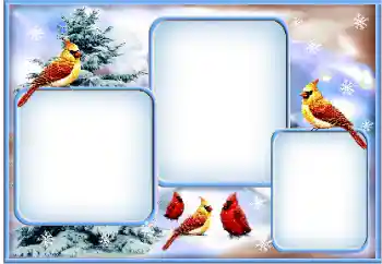 Efecto de fotos de la categoría Invierno № 163360