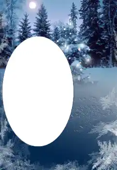 Efecto de fotos de la categoría Invierno № 176669