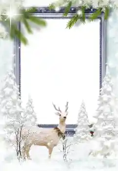 Efecto de fotos de la categoría Invierno № 182164