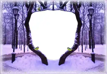Efecto de fotos de la categoría Invierno № 183367
