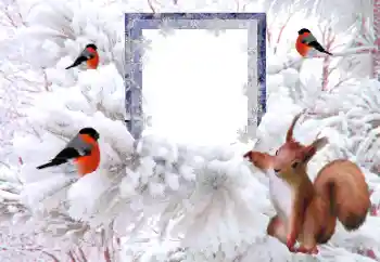 Efecto de fotos de la categoría Invierno № 194148