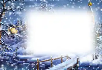 Efecto de fotos de la categoría Invierno № 202146
