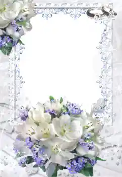 Efecto de fotos de la categoría Marcos de Boda № 52201