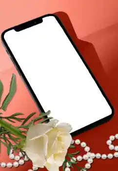 Efecto de fotos de la categoría Marcos de Fotos para Chicas № 205752
