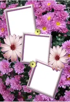 Efecto de fotos de la categoría Marcos de Fotos para Chicas № 205803