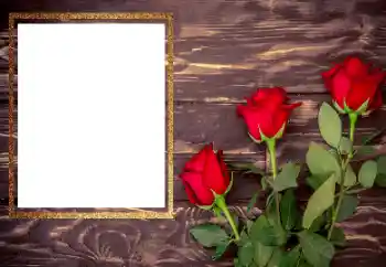 Efecto de fotos de la categoría Marcos de Fotos para Chicas № 206175