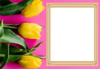 Efecto de fotos de la categoría Marcos de Fotos para Chicas № 206177