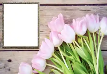 Efecto de fotos de la categoría Marcos de Fotos para Chicas № 206178