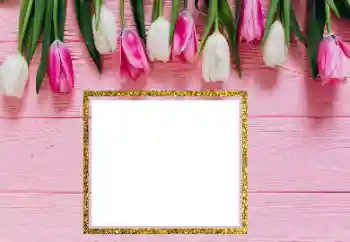 Efecto de fotos de la categoría Marcos de Fotos para Chicas № 206181