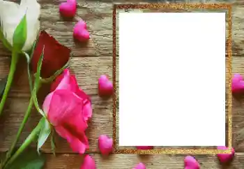 Efecto de fotos de la categoría Marcos de Fotos para Chicas № 206183