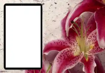 Efecto de fotos de la categoría Marcos de Fotos para Chicas № 206184