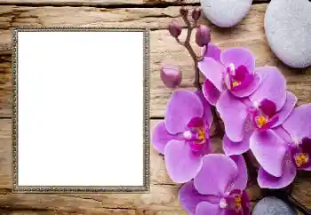 Efecto de fotos de la categoría Marcos de Fotos para Chicas № 206185