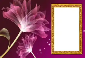 Efecto de fotos de la categoría Marcos de Fotos para Chicas № 206187