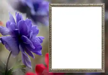 Efecto de fotos de la categoría Marcos de Fotos para Chicas № 206189