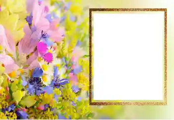 Efecto de fotos de la categoría Marcos de Fotos para Chicas № 206190
