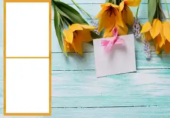 Efecto de fotos de la categoría Marcos de Fotos para Chicas № 206196 Efecto de fotos de la categoría Marcos de Fotos para Chicas № 206196